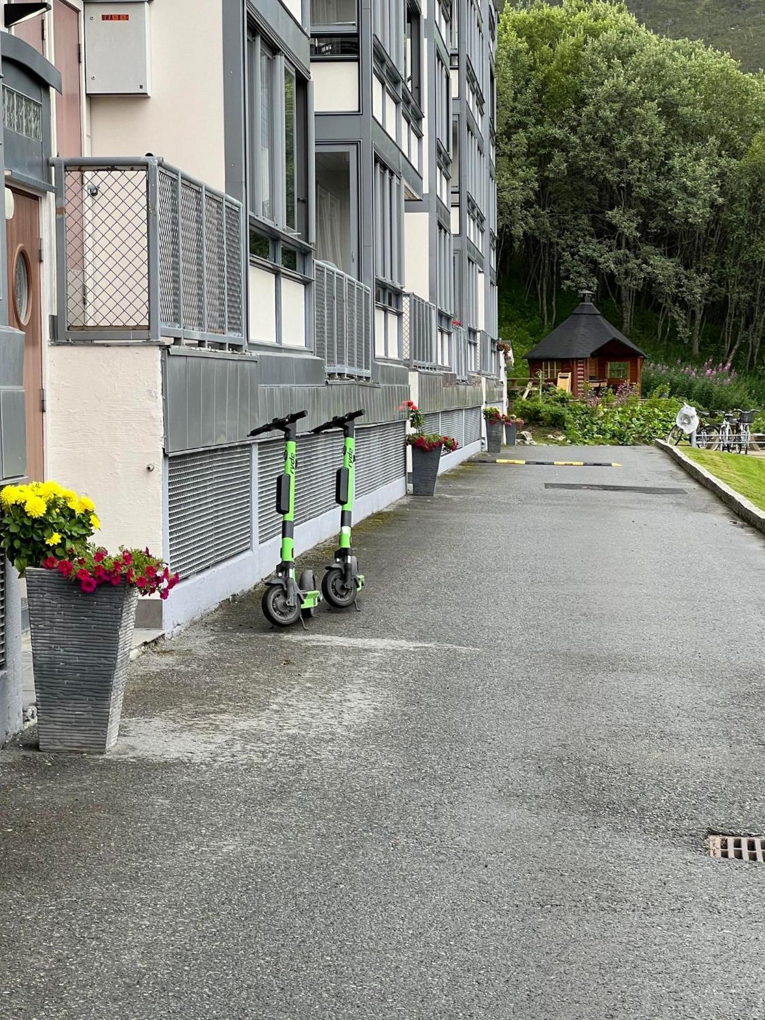 Miracle Tromso, Cozy Double Bed Private Room In A Shared Apartment With Stunning Tromso Views エクステリア 写真
